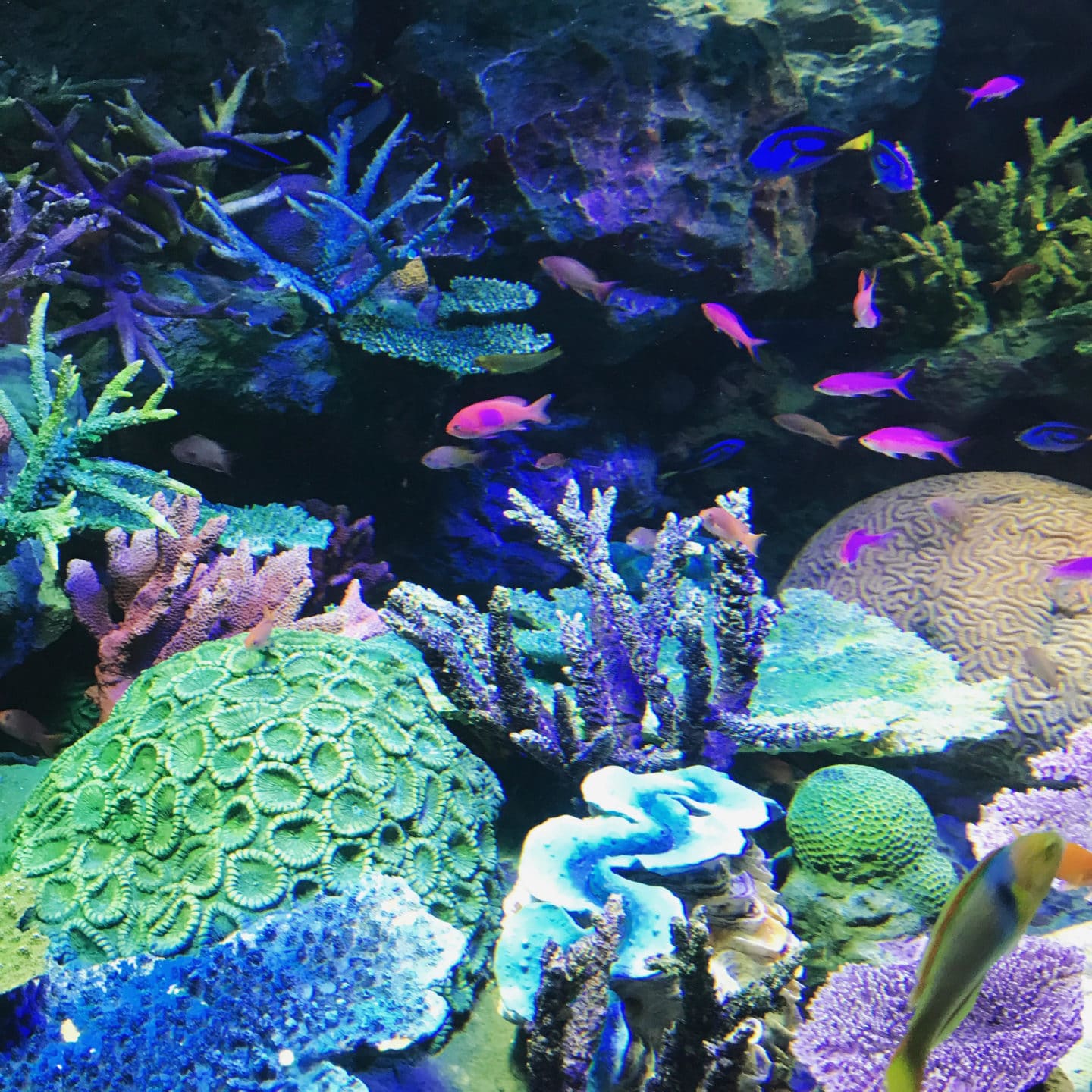 SUNSHINE CITY AQUARIUM, IKEBUKURO