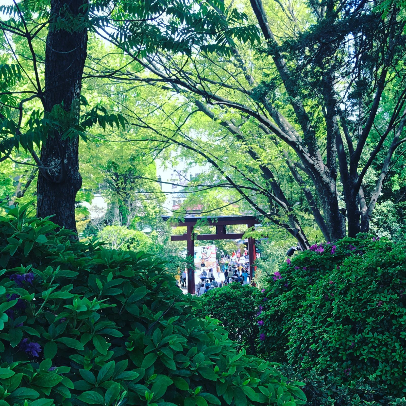 UENO WITH KIDS