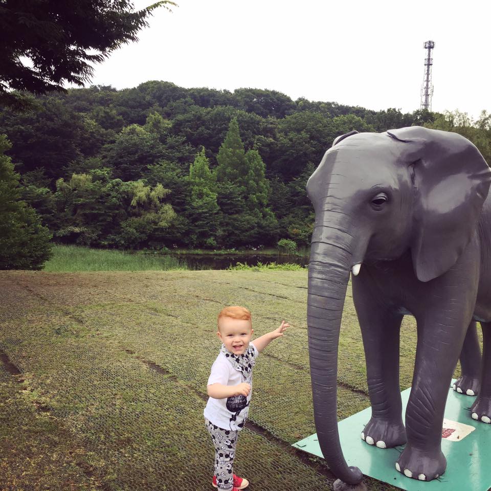 DOES YOUR LITTLE ONE The ELEPHANTS? - Chapter LOVE Tokyo