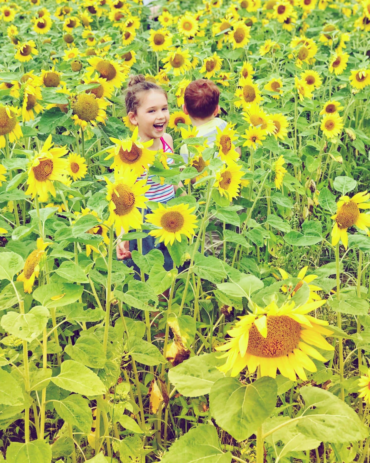 JUST HOW HOT IS JAPANESE SUMMER?