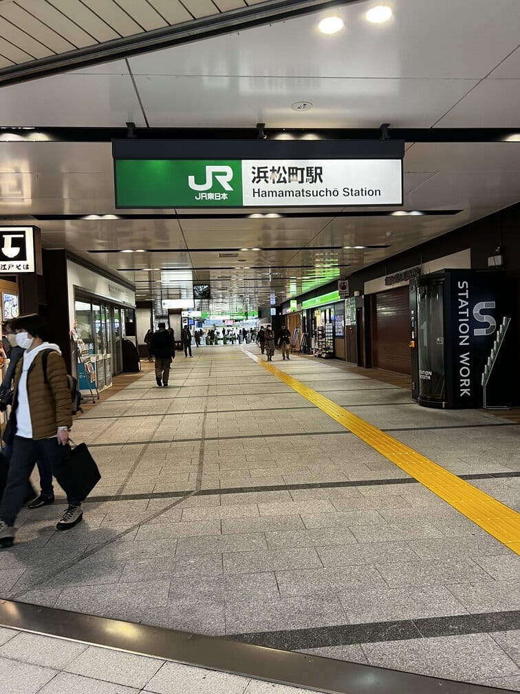 THE HAMAMATSUCHO STATION AREA WITH KIDS (TOKYO)